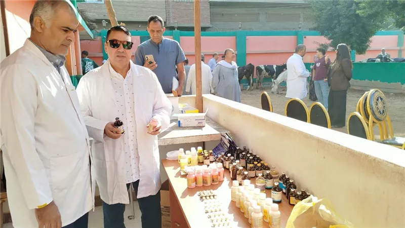 قافلة بيطرية مجانية بالمنيا تعالج 1050 حالة وتنفذ 25 عملية جراحية