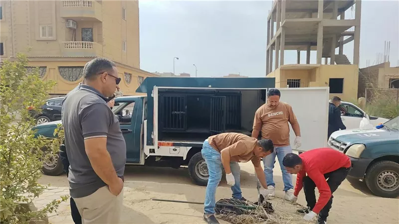 حفاظًا على سلامة المواطنين.. حملات لتطعيم وتعقيم الكلاب الضالة بحدائق أكتوبر