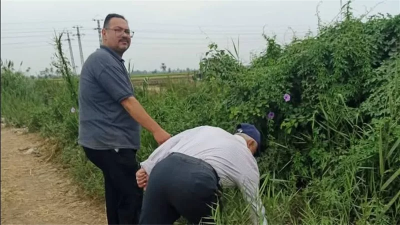 مكافحة القوارض بالدقهلية 