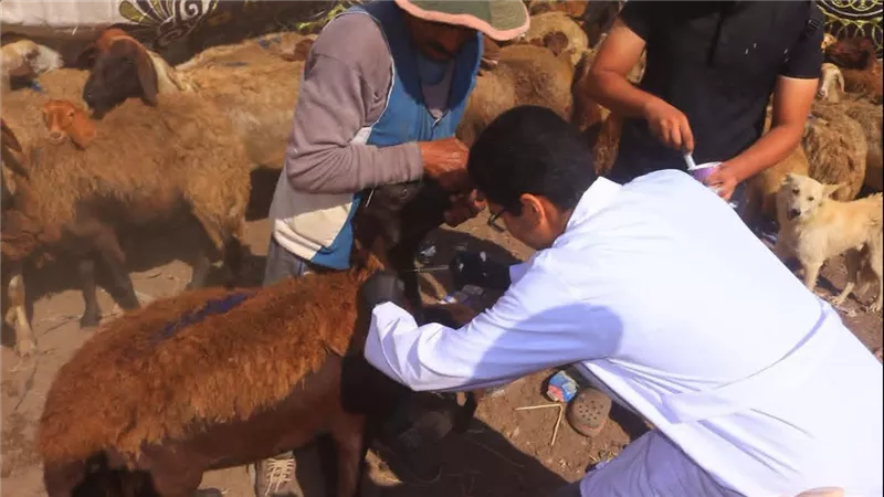 ٠اننب من التحصين 