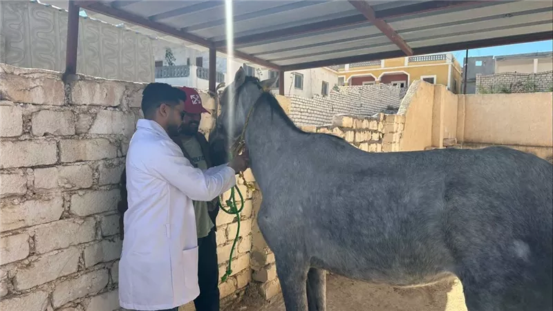جانب من الحملة 