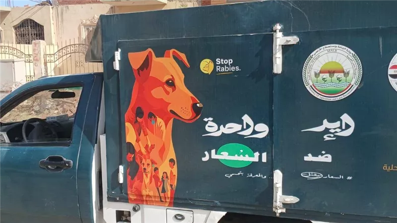 لليوم الثاني على التوالي.. استمرار حملات تطعيم وتعقيم الكلاب الضالة بحدائق أكتوبر