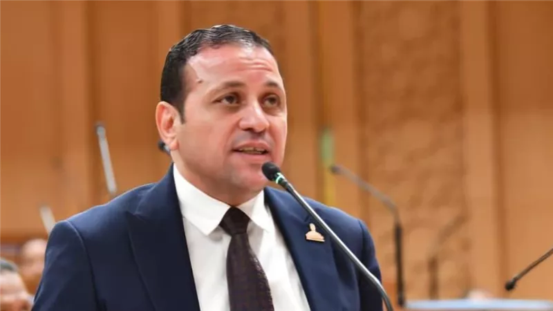 النائب عادل السكري