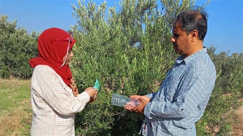 «مجاناً لأهالي العريش».. «زراعة شمال سيناء» تواصل أسبوعها الأخير لمكافحة القوارض وحماية المحاصيل